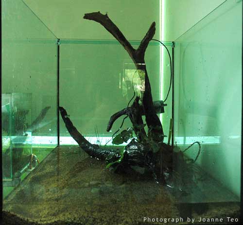 Side view of new tank