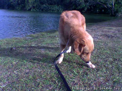 Rusty avoids the camera
