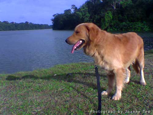 Rusty - An unwilling model