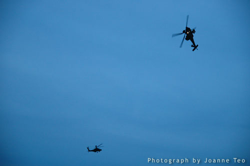 NDP 2007 Preview Pumas