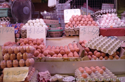 roll1468_006_yashicagsn_fuji_superia1600_web