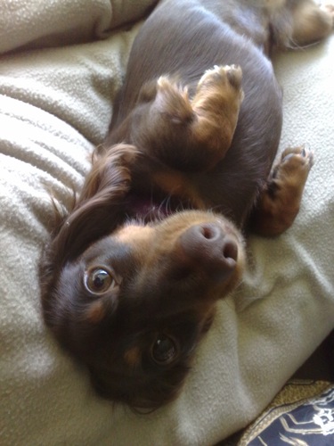 Junior being manja Junior being manja