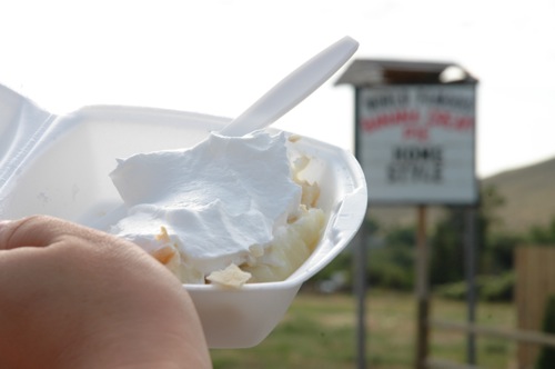 Banana Cream Pie Banana Cream Pie