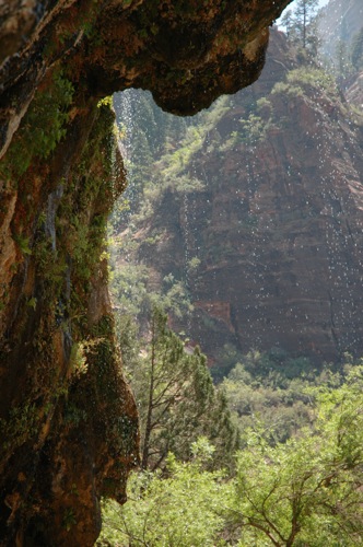 Weeping Wall Weeping Wall