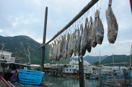 Salt fish and laundry, Tai O, Lantau Island, Hong Kong Salt fish and laundry, Tai O, Lantau Island, Hong Kong