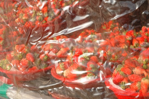 Strawberries in winter sold from the back of a truck. Strawberries in winter sold from the back of a truck.