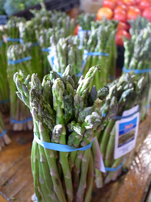 Asparagus Asparagus