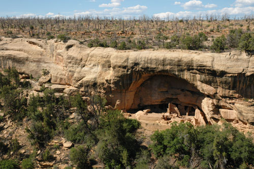 Mesa Verde Oak Tree House Mesa Verde Oak Tree House