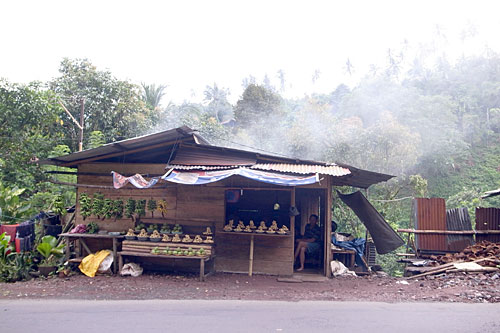 A typical fruit stall along the way to Tomohon. A typical fruit stall along the way to Tomohon.
