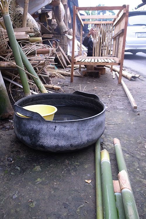 Bamboo used in making a cage for cockerels in the background. Bamboo used in making a cage for cockerels in the background.