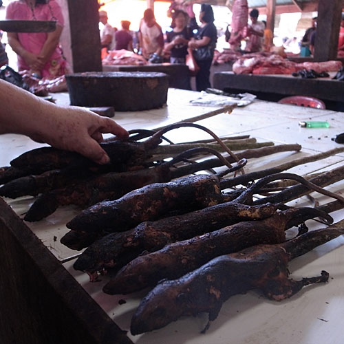 Field rats from the rice fields are cleaner than house rats. Field rats from the rice fields are cleaner than house rats.