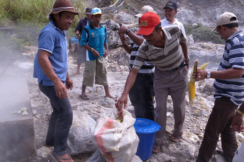 Hot and tasty corn? Hot and tasty corn?