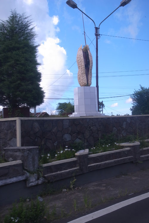 Peanut monument in Kawangkoan. Peanut monument in Kawangkoan.