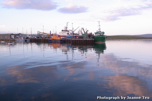Boats in Stromness. Boats in Stromness.