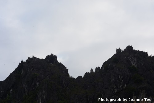 20130228-013351_JTJ_2145 Birds resting atop Van Lung.