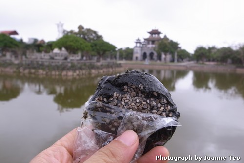 20130228-053334_R0017129 Bahn Gai snack at Phat Diem.