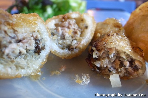 20130228-120906_R0017143 Nem detail.