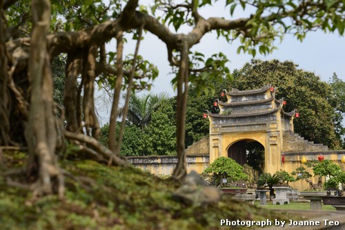 20130301-033805_JTJ_2514 Citadel side gates with bonsai in foreground.