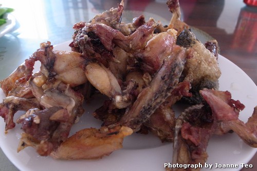 20130302-052251_R0017217 Fried frog.