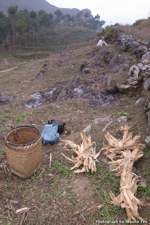 20130306-022725_R0017780 Bring lunch, water and fuel to heat up food for lunch.