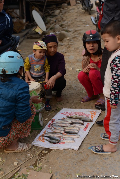 20130306-100916_JTJ_4171 Fish sold at Bao Lac town.