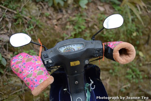 20130306-101618_JTJ_4173 These mittens are permanently affixed to the scooter.
