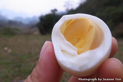 20130308-044003_20130308-044003_R0017969 A perfectly hard boiled egg. All yellow, just set, no green.
