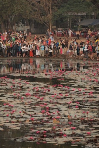 The crowded and noisy reflecting pool at Angkor Wat.