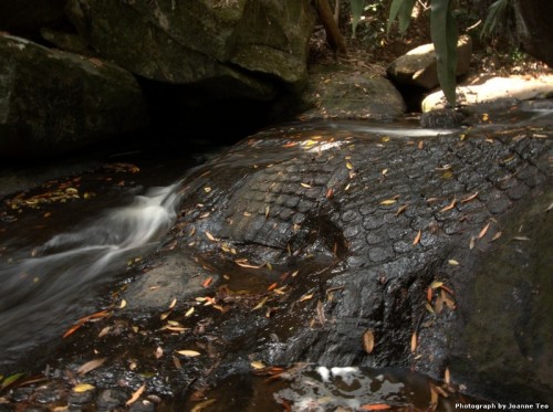 Thousands of lingas worn down over the years by the river.