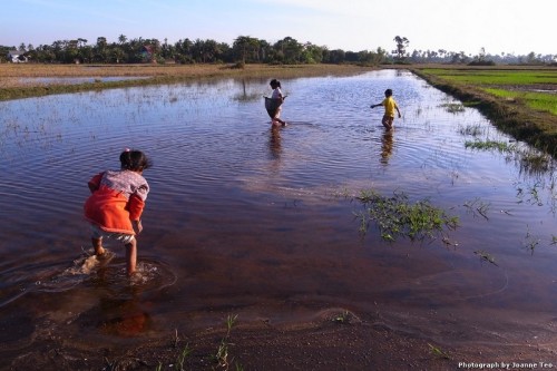 Everyone helps out with catching dinner.