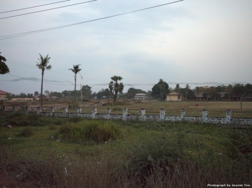 Millions of bats flying over the countryside.