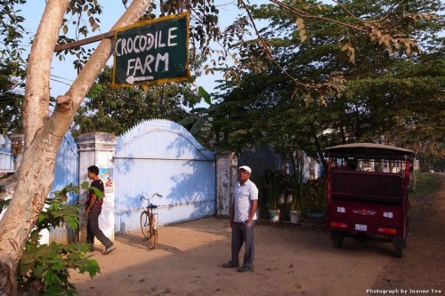 Pow waking up the caretaker of the Crocodile Farm.