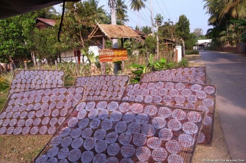 Drying rice paper skins.