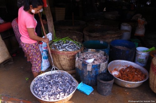 Mixing salt and spices for preserving the fish.