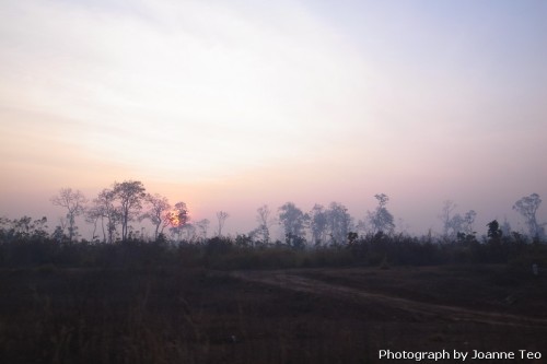 The skies are filled with smoke. Or morning  mist. It's hard to tell with all the burning going on.